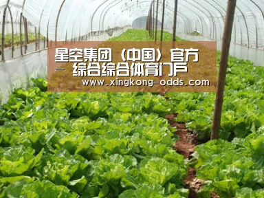 种植基地五