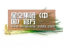 产品名称二