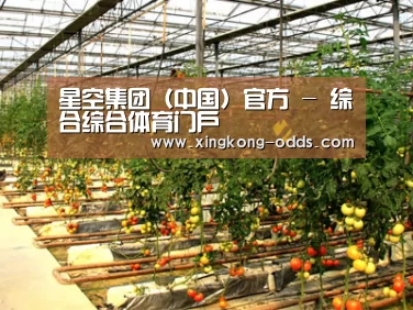 种植基地二(图1)